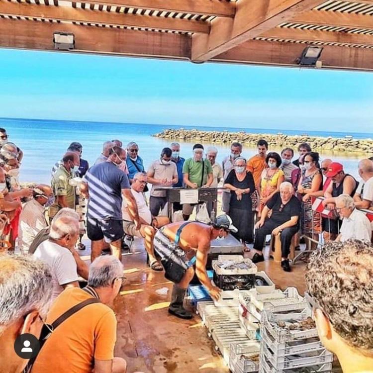 La Terrazza Sul Mar Mediterraneo Marinella di Selinunte Eksteriør bilde